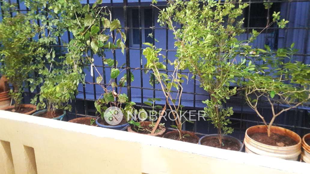 2 BHK Flat In Thiruvengadam Agam Apts For Sale  In Kodambakkam