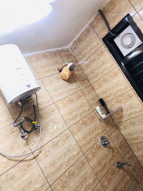 PG for Anyone in  Sector 28