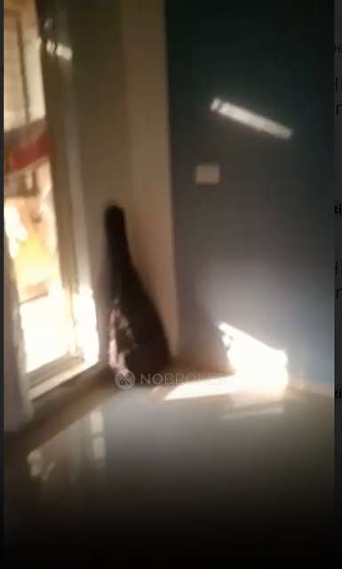 1 BHK Flat In Mukul Palms, Ambernath For Sale  In Ambernath