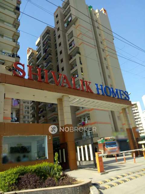 1 BHK Flat In Shivalik Homes For Sale  In Surajpur