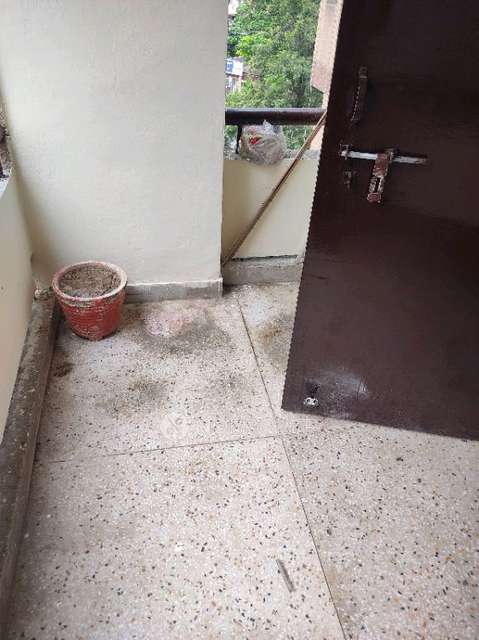 3 BHK Flat In Jai Shiri Ganesh Apartments For Sale  In Sector 45