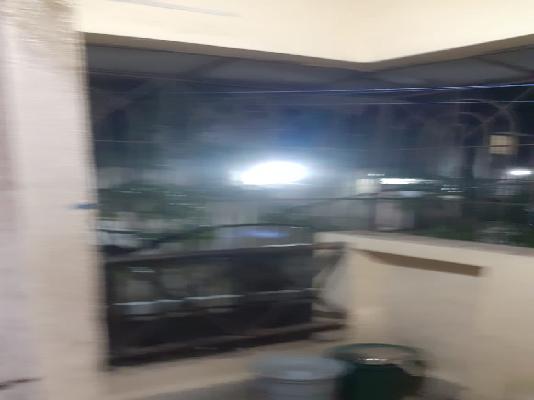 1 BHK Flat In Zinnia Godrej Hill Kalyan For Sale  In Kalyan