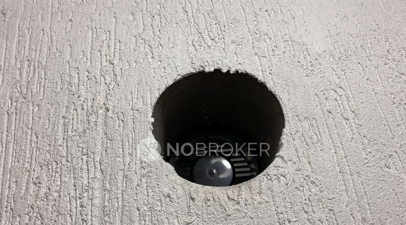 1 BHK Villa In Joyville Cooperative Housing Society  for Rent  In Joyville Hinjawadi 