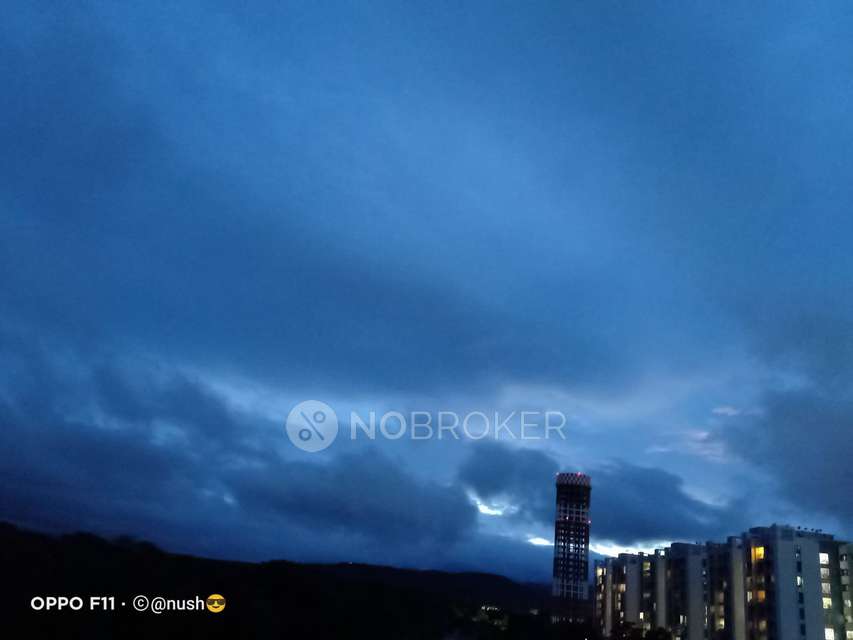 1 BHK Flat In Dhanashree Park for Rent  In Nanded