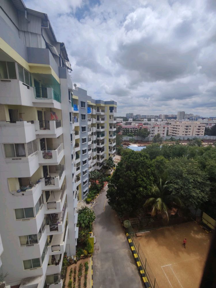 Oceanus Freesia Enclave