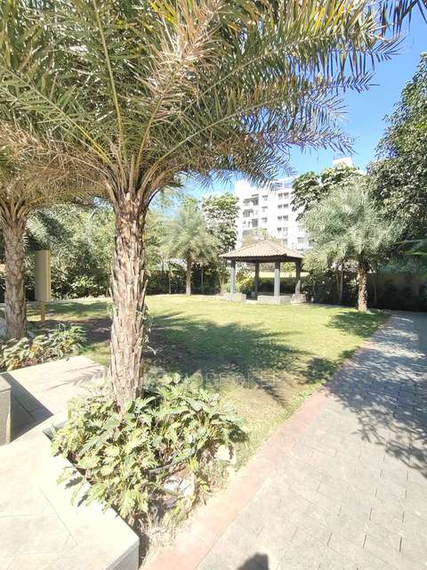 1 BHK Flat In Mumbai - Pune Expy, Pune, Maharashtra 412101 for Rent  In Runal Spacio