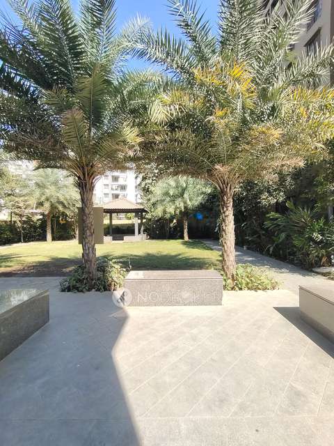 1 BHK Flat In Mumbai - Pune Expy, Pune, Maharashtra 412101 for Rent  In Runal Spacio