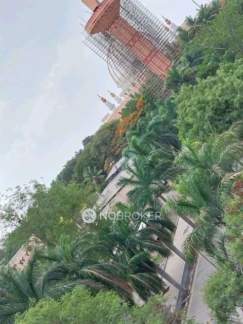 PG for Boys in  Loni Kalbhor, 