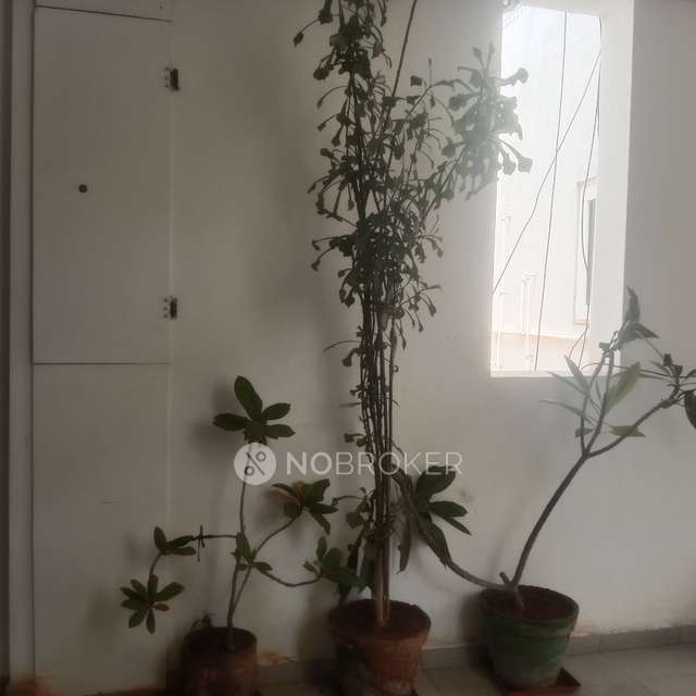 2 BHK Flat In Mahindra Happinest For Sale  In Paruthipattu