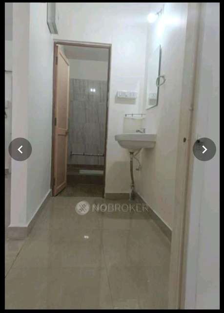 2 BHK Flat In A16 for Rent  In Pcntda Sector 12