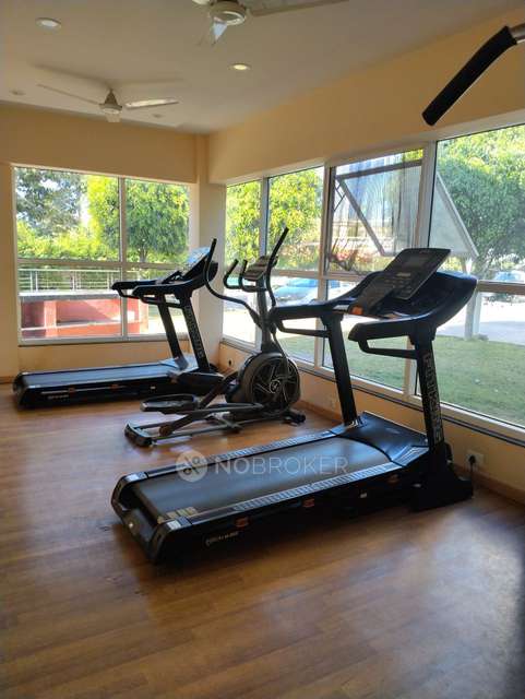 3 BHK Flat In Geras Misty Waters for Rent  In Keshav Nagar