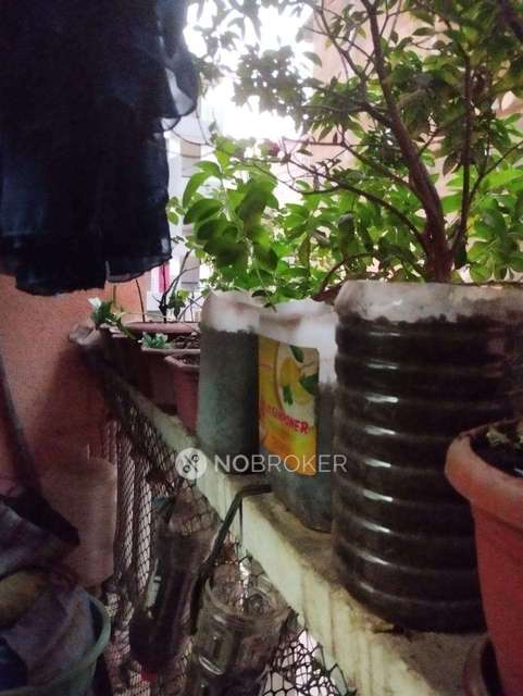 1 BHK Flat In Gayatri Indraprastha For Sale  In Adaigaon