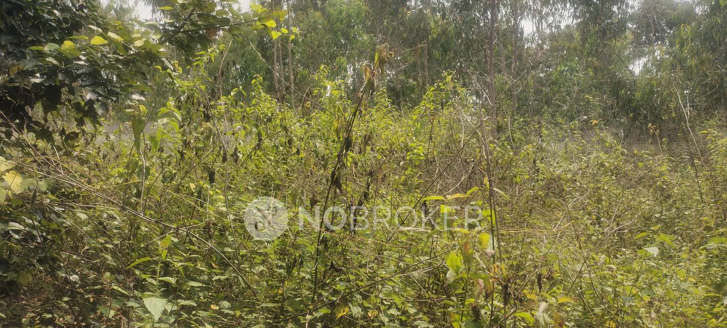 Plot For Sale  In Chandra Properties In Boyalahalli