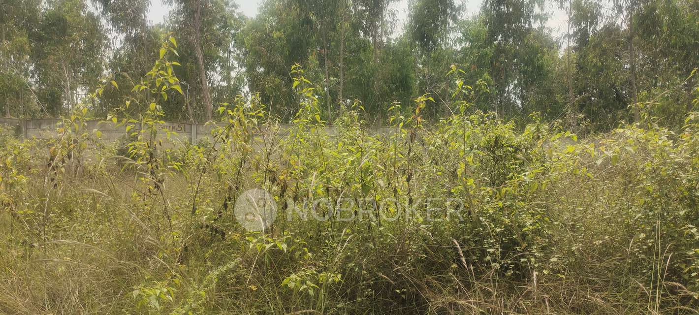 Plot For Sale  In Chandra Properties In Boyalahalli