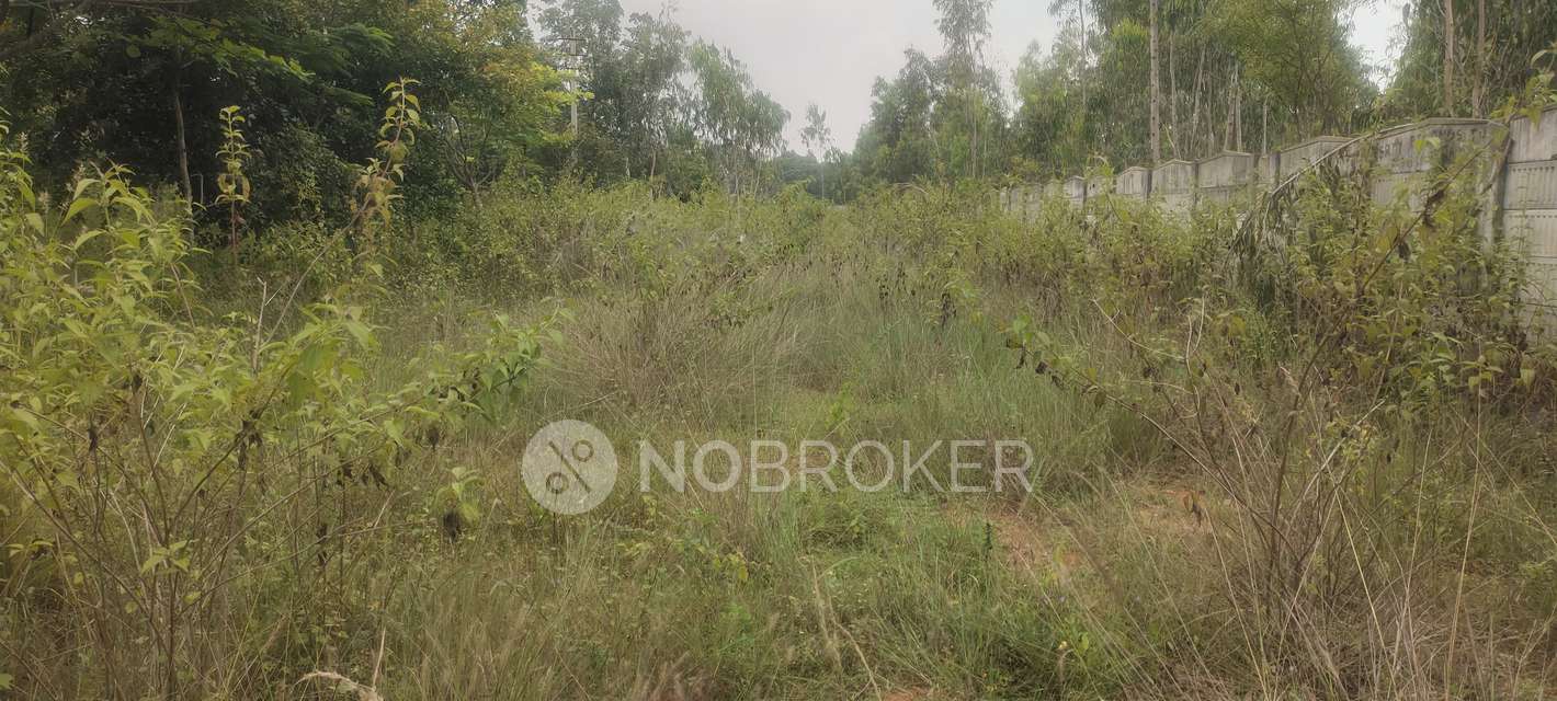 Plot For Sale  In Chandra Properties In Boyalahalli
