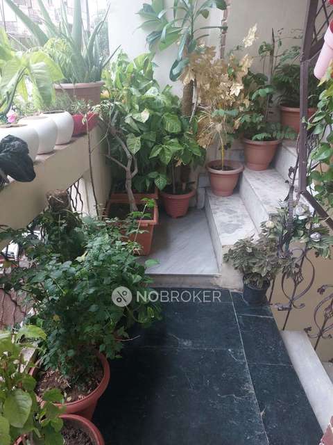 1 BHK Flat For Sale  In Tilak Nagar