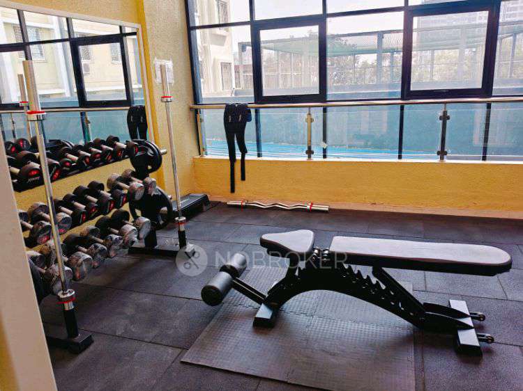 2 BHK Flat In Acorn Park ,indra School Road, Behind Shani Mandir,near Akshara School, Wakad for Rent  In Acorn Park