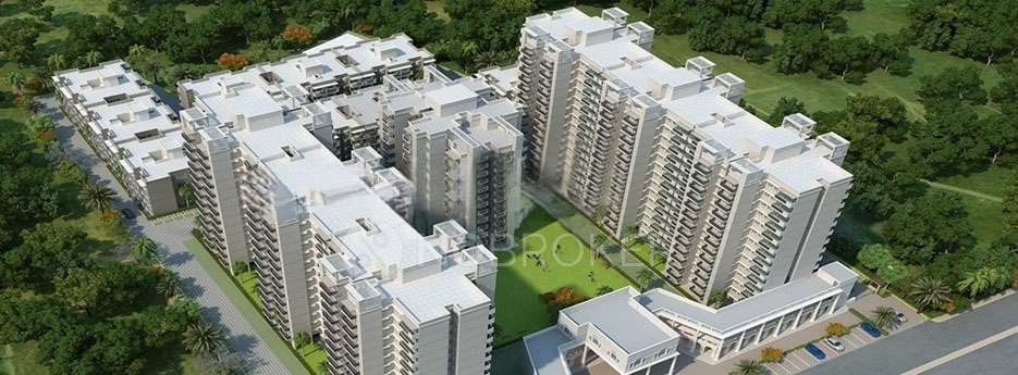 2 BHK Flat In Apex Apartments for Rent  In Sector-37 C