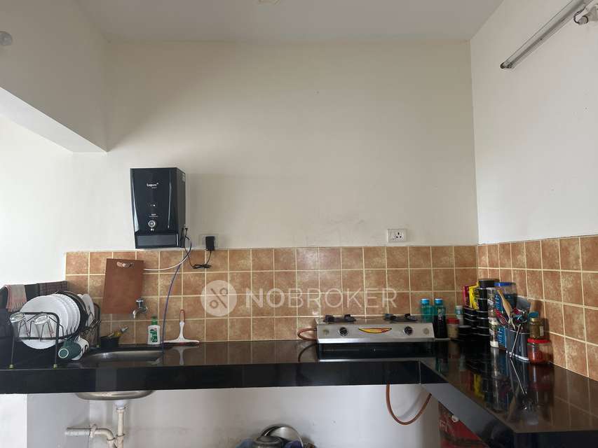 Single Room for Female In 3 BHK  In Pegasus Megapolis Splendour In Megapolis Splendour