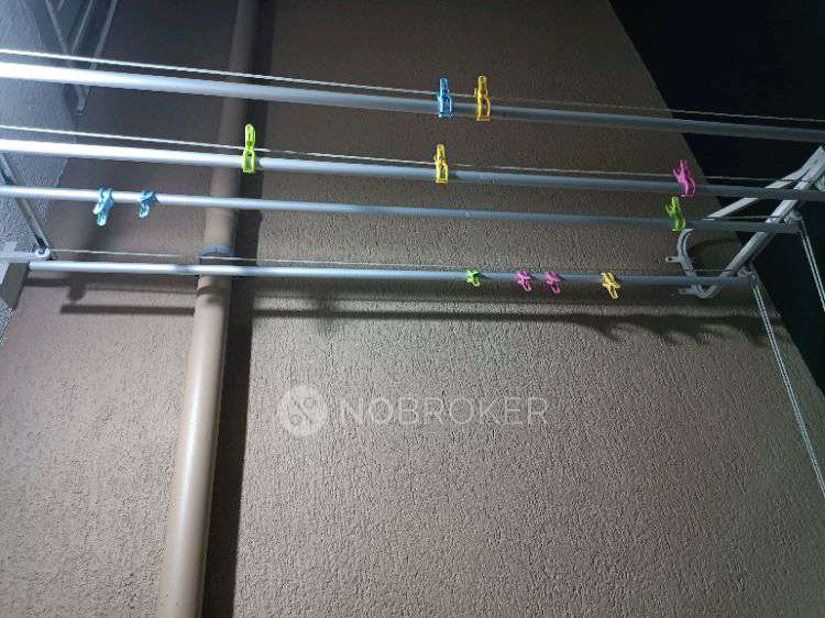 2 BHK Flat In Kohinoor Tinsel County for Rent  In Hinjewadi