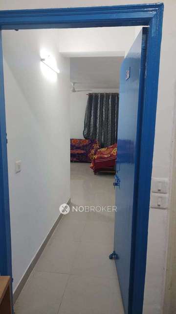 2 BHK Flat In Hcbs Sports Ville for Rent  In Sector 2 And 35
