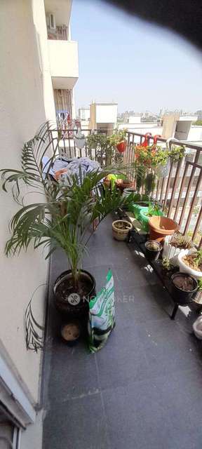 2 BHK Flat In Signature Global Roselia For Sale  In  Sector 95a