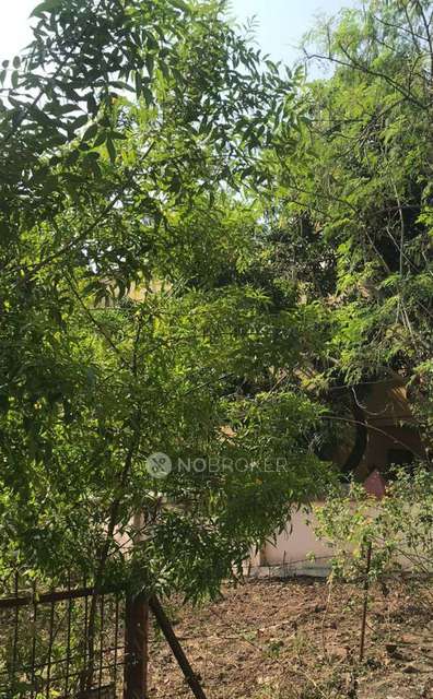 2 BHK Villa In Puru Society for Rent  In Airport Rd