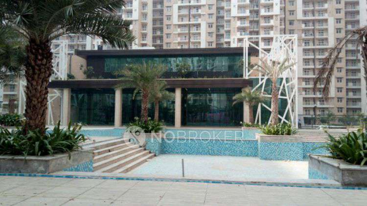 3 BHK Flat In Aims Greens Avenue for Rent  In Sector-4