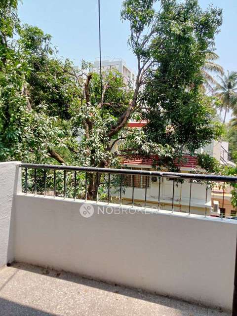 3 BHK Flat In Alok Apartment  for Rent  In Kothrud