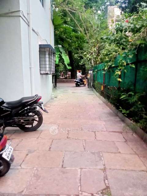 3 BHK Flat In Alok Apartment  for Rent  In Kothrud