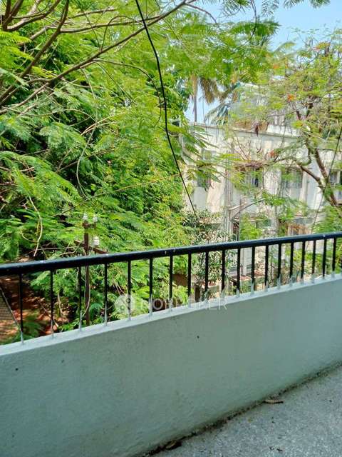 3 BHK Flat In Alok Apartment  for Rent  In Kothrud