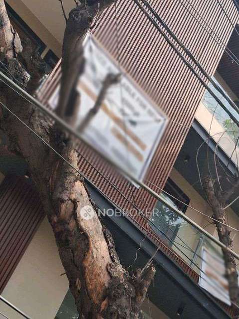 Shop in Naraina, Delhi for Rent 