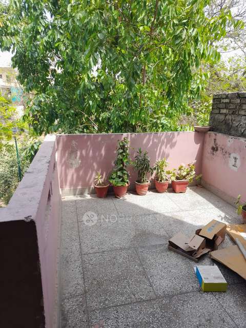 3 BHK Flat In Amrapali Golf Homes For Sale  In  Sector 4