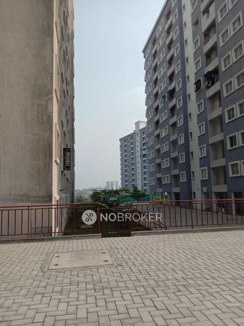 1 BHK Flat In Xrbia Ambi For Sale  In Talegaon Dabhade