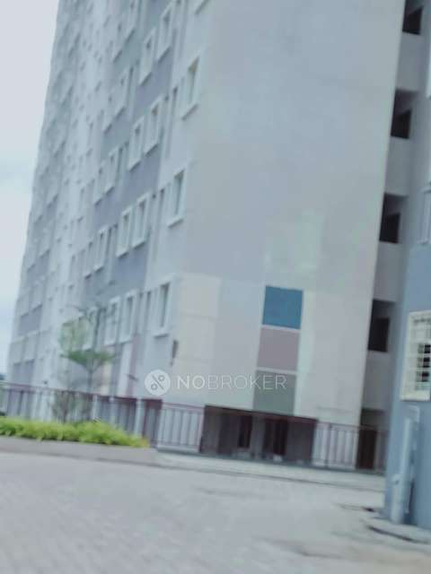 1 BHK Flat In Xrbia Ambi For Sale  In Talegaon Dabhade