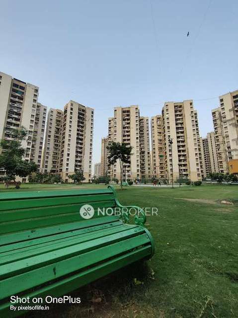 3 BHK Flat In Jaypee Kosmos For Sale  In Sector 134