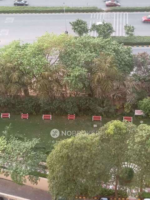 4 BHK Flat In Dlf Belvedere Park For Sale  In Sector-24