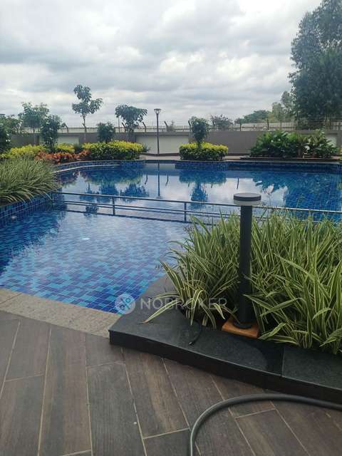 2 BHK Flat In Godrej 24 for Rent  In Sarjapur