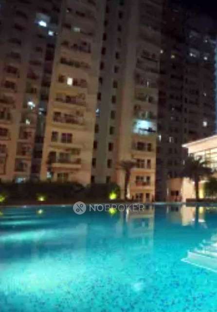 3 BHK Flat In Vvip Homes For Sale  In Gaur City 2