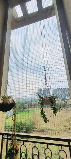 2 BHK Flat In Nyati Enchante for Rent  In Vadgaon Sheri