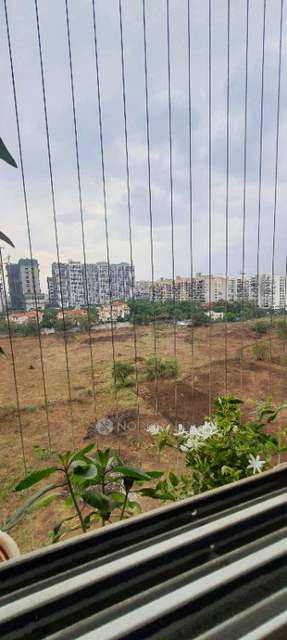 2 BHK Flat In Nyati Enchante for Rent  In Vadgaon Sheri