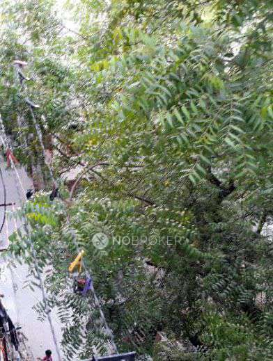 1 BHK House For Sale  In Dakshinpuri