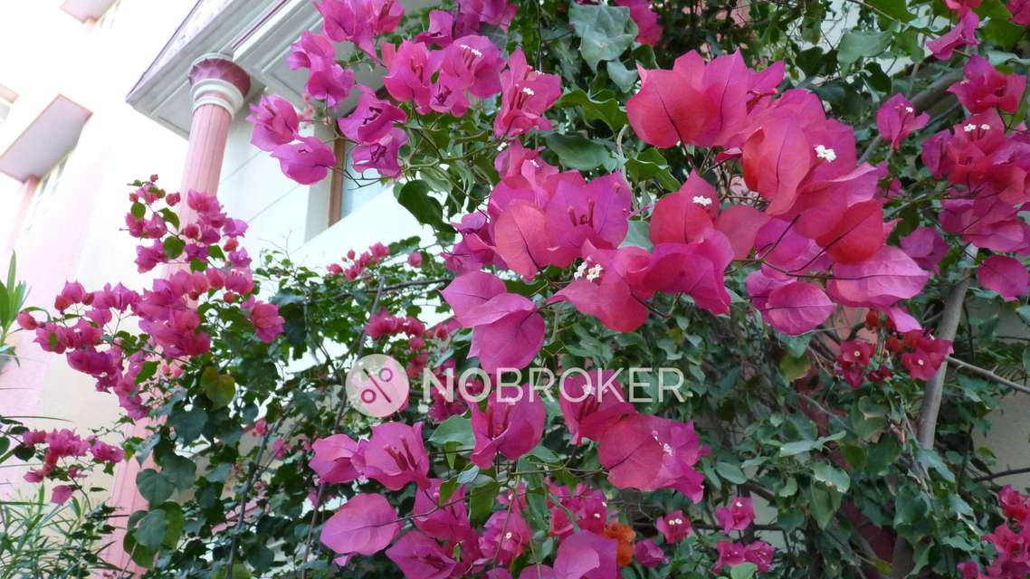 3 BHK House For Sale  In Kudlu Gate 