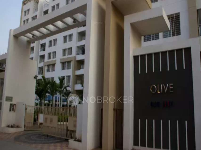 2 BHK Flat In Olive Blue Sky for Rent  In Wagholi