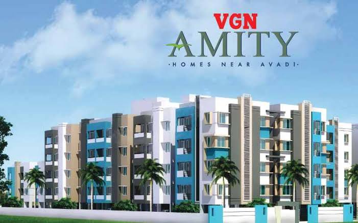 Vgn Amity