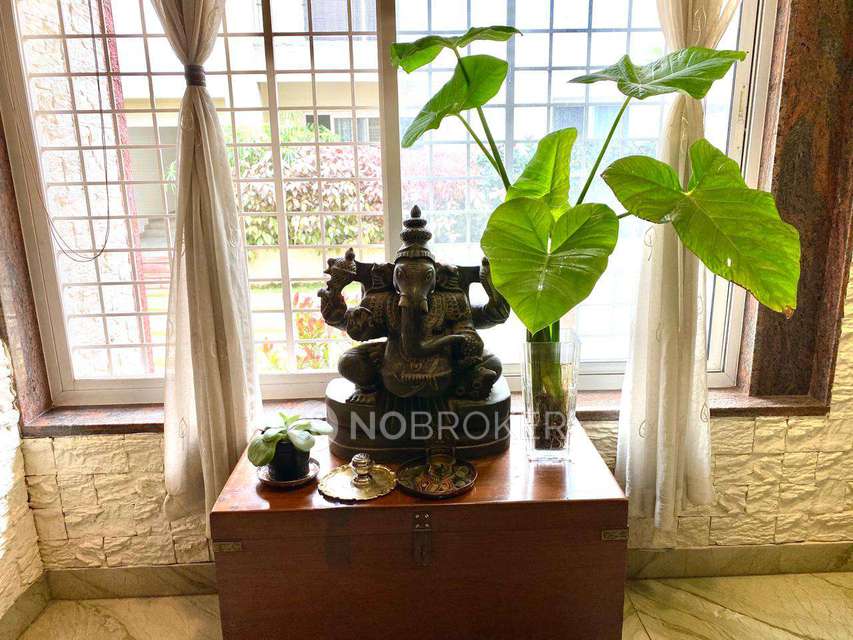 3 BHK Villa In Almond Tree - Row Houses & Vilaments For Sale  In Almond Tree - Row Houses & Vilaments