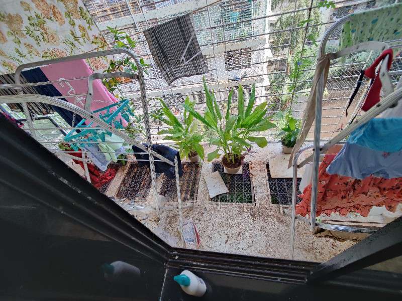 3 BHK Flat In Palms 2 For Sale  In Goregaon East