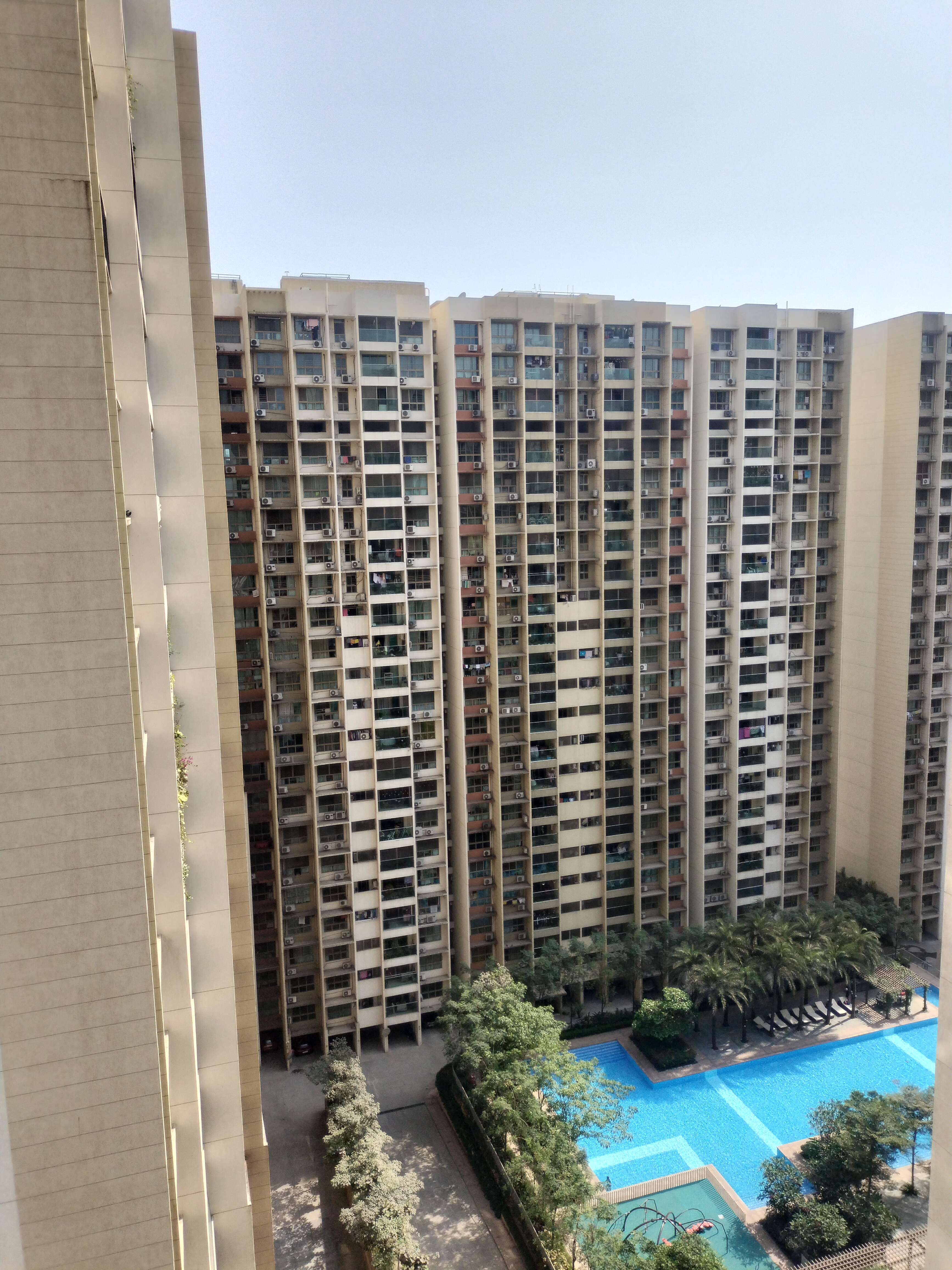 Mountain Breeze Society