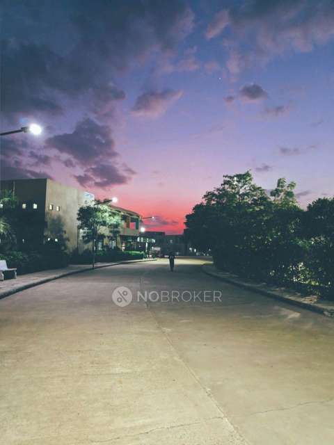 3 BHK Flat In Vijay Housing Society for Rent  In Wagholi