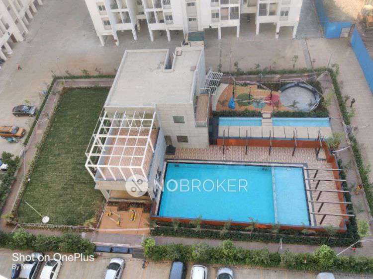 2 BHK Flat In Vtp Purvanchal for Rent  In Wagholi